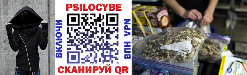 Галлюциногенные грибы прущие грибы  MEGA ТОР  Суздаль 