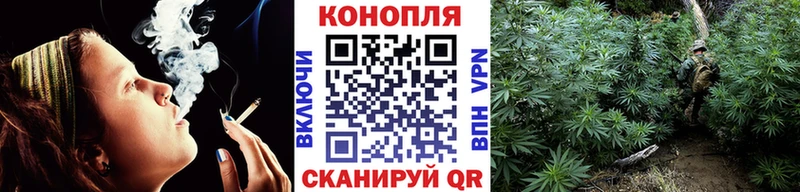Бошки Шишки SATIVA & INDICA hydra зеркало Суздаль где купить наркоту